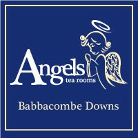 Angels at Babbacombe Logo